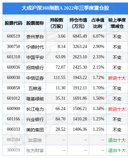 大成沪深300基金最新净值解析，市场洞察与深度解读